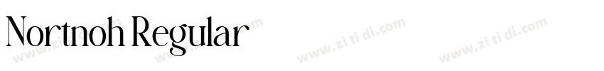 Nortnoh Regular字体转换 Nortnoh Regular字体转换